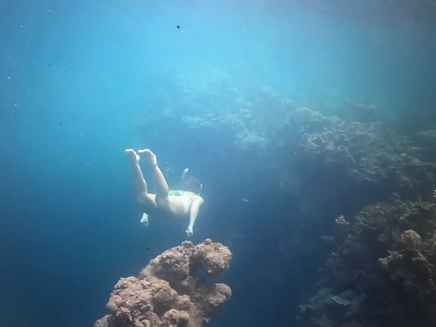 A freediver swimming over a coral head in deep blue water