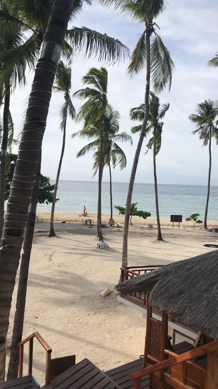 Tall palm trees over a sandy beach with thatched huts