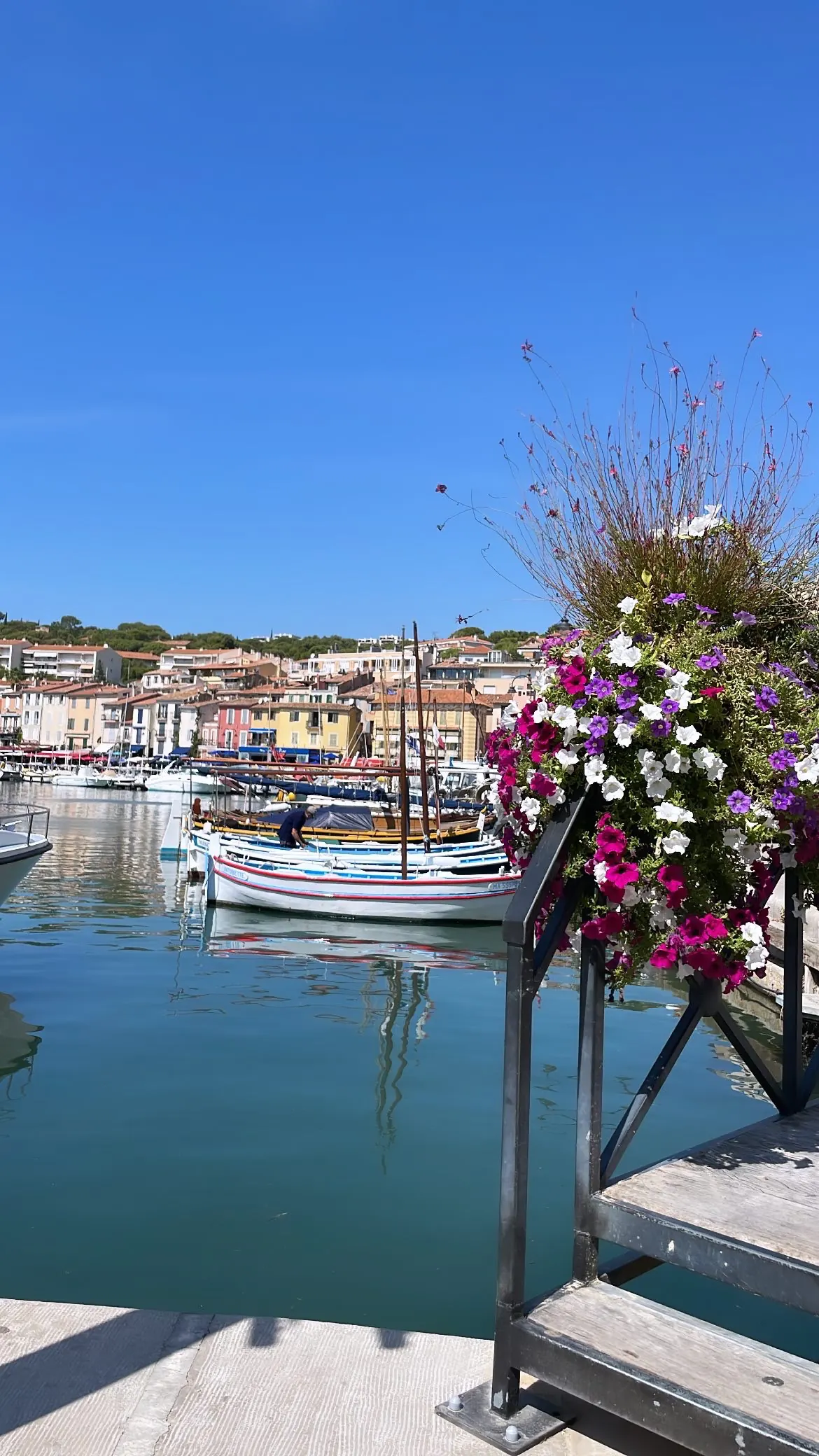 Cassis harbor with boats and colorful buildings beside flowers