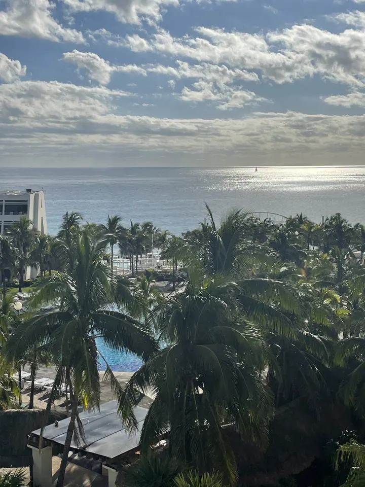 View over palm trees toward the ocean from above