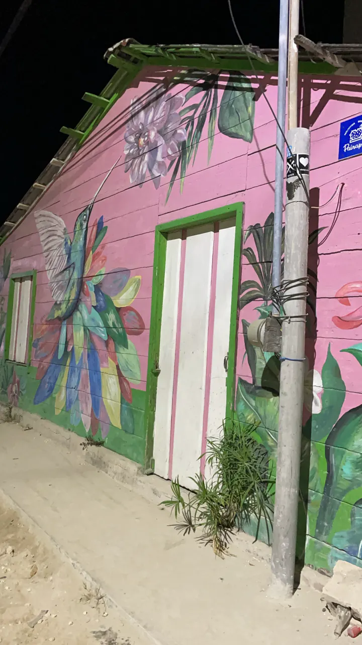 A pink building painted with a colorful mural beside a sandy street at night