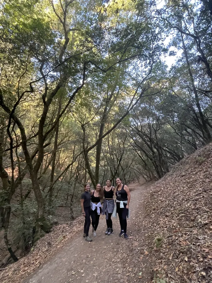 A group walking a shaded forest trail