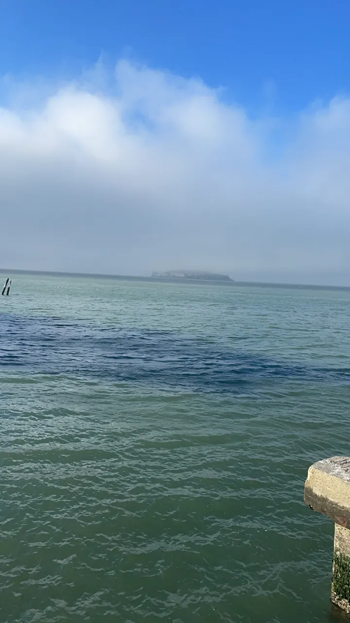 A calm Pacific Ocean stretching to the horizon