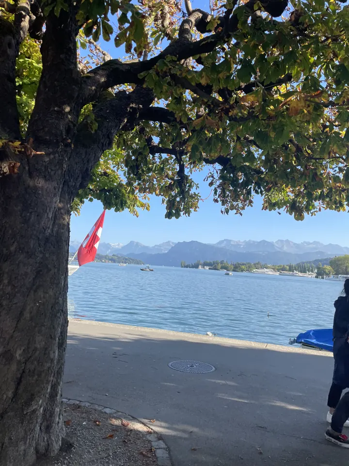 Lake Lucerne through tree branches with a flag on the shore