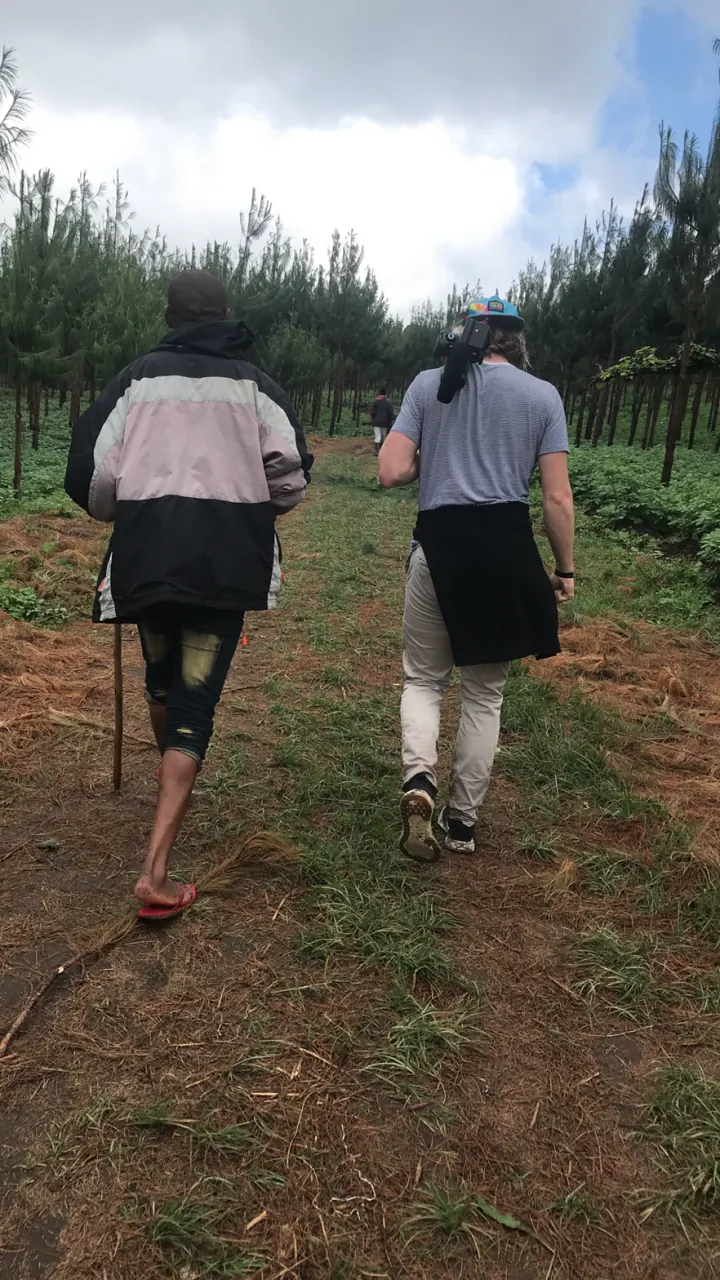 Two people walking away down a grassy farm path lined with trees