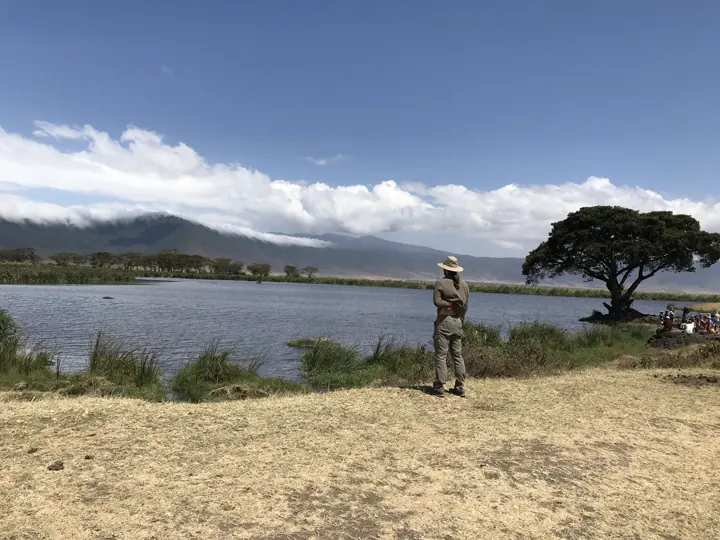 A person in safari gear by a calm lake with a large acacia tree and misty hills