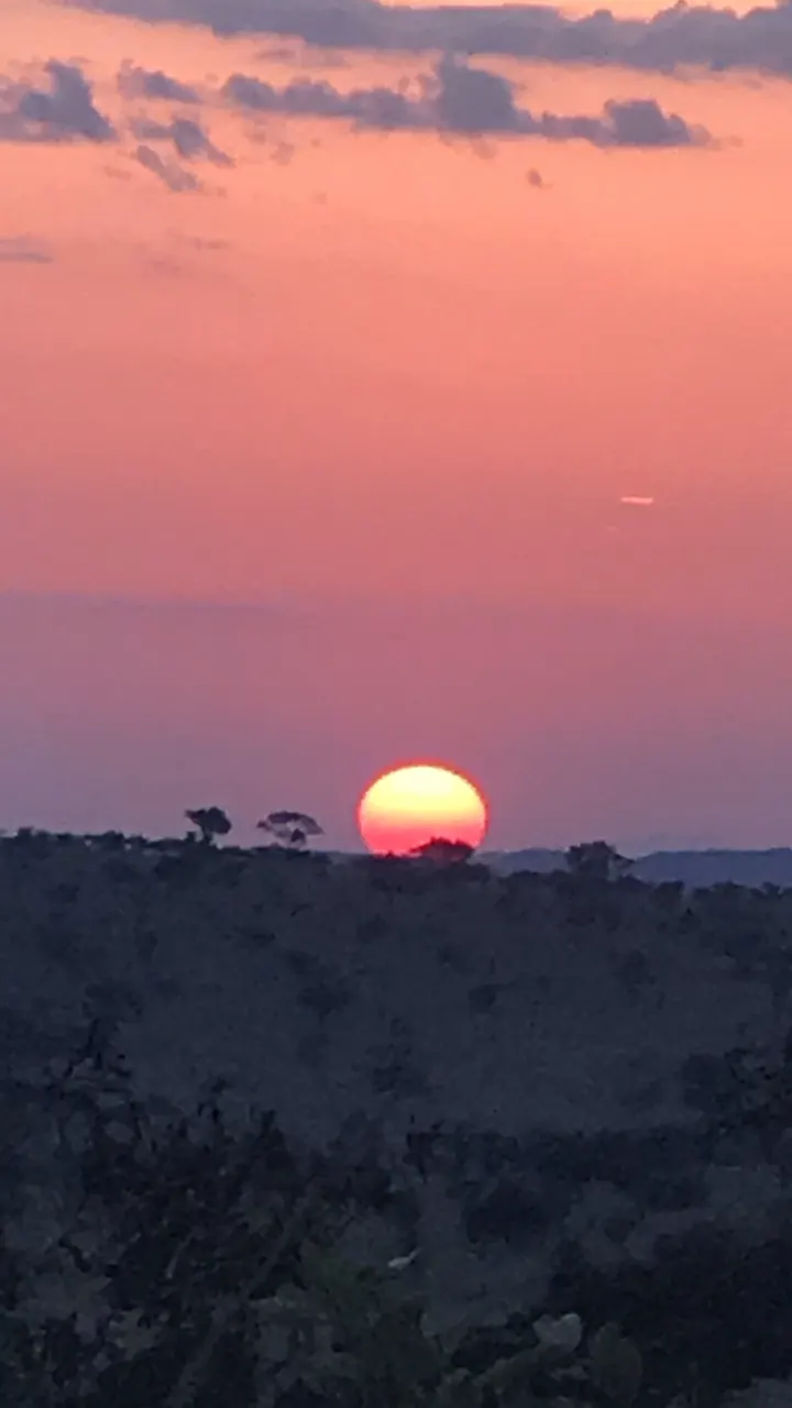 A red sun sinking behind acacia-dotted hills under a pink sky