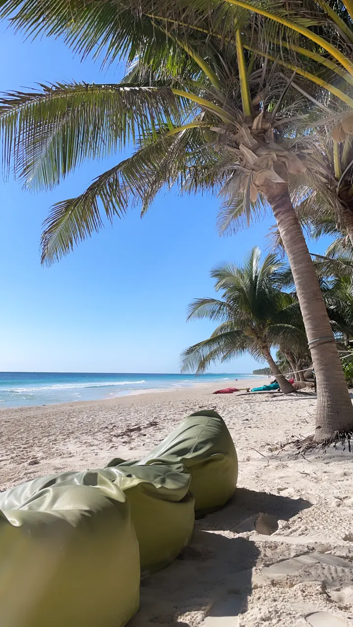 Bean-bag loungers on a sandy beach under palm trees