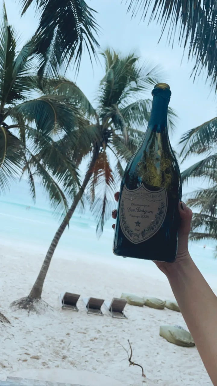 A hand holding up a champagne bottle on a white-sand beach with palms