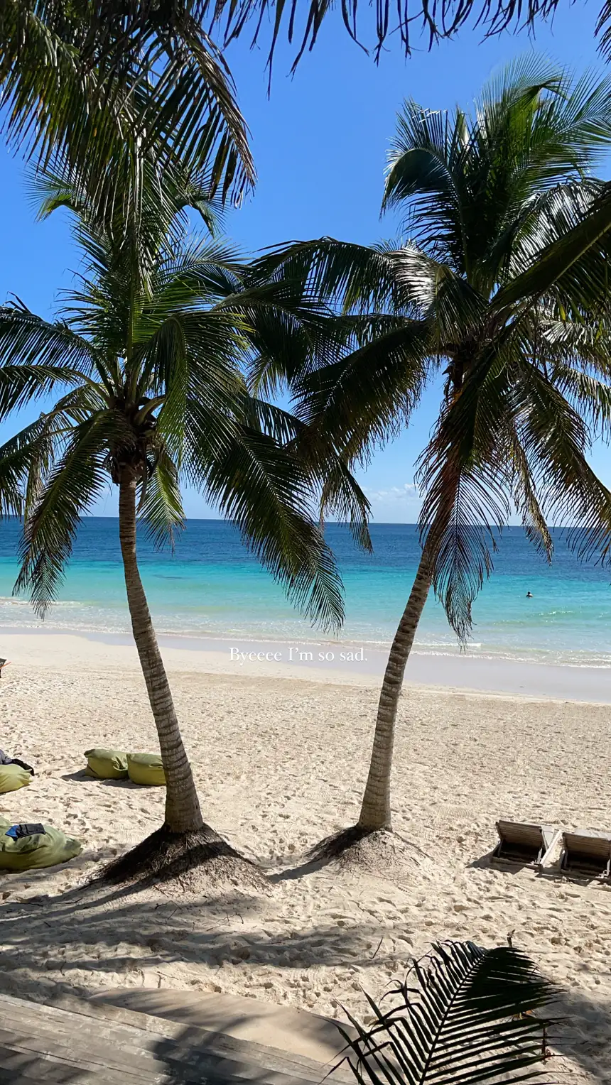 Two coconut palms leaning over white sand and turquoise water