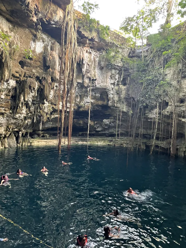 A deep open-air cenote with vines hanging down to swimmers far below